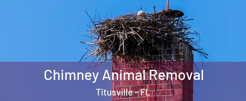 Chimney Animal Removal Titusville - FL
