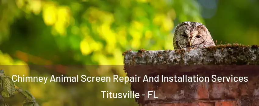  Chimney Animal Screen Repair And Installation Services Titusville - FL