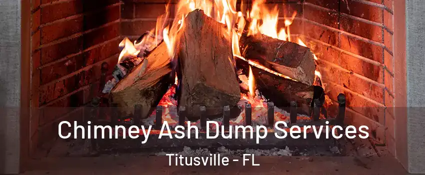  Chimney Ash Dump Services Titusville - FL