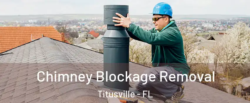  Chimney Blockage Removal Titusville - FL