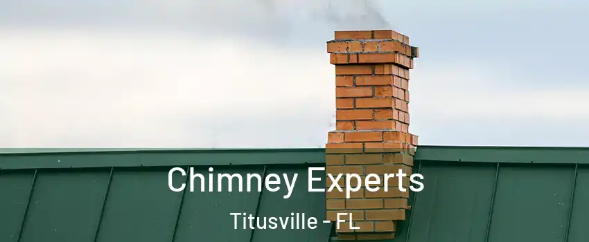 Chimney Experts Titusville - FL