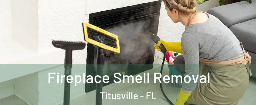  Fireplace Smell Removal Titusville - FL