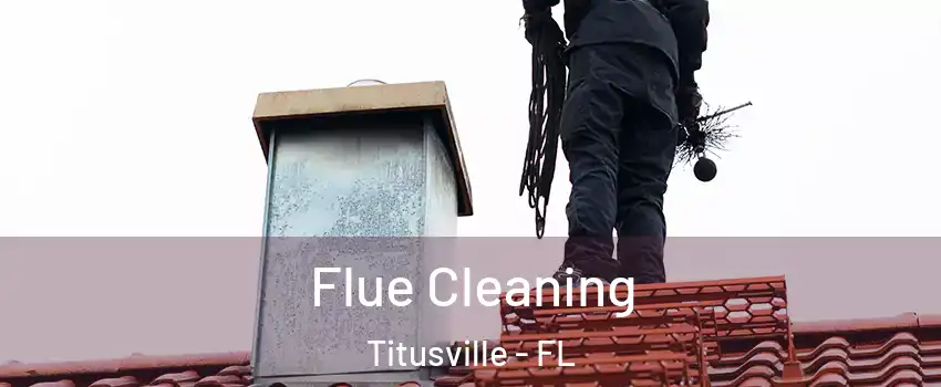  Flue Cleaning Titusville - FL