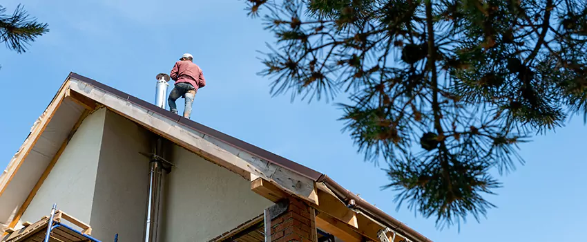 Birds Removal Contractors from Chimney in Titusville, FL