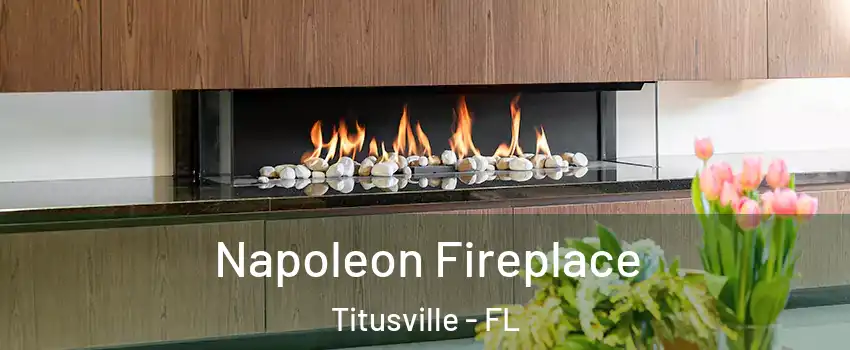  Napoleon Fireplace Titusville - FL